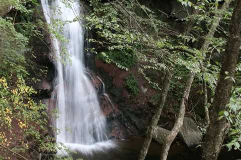 Hiking to Waterfalls in Hays County, TX