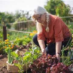 7 Game-Changing Organic Gardening Tips for a Thriving Eco-Friendly Garden