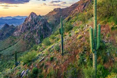 Exploring Maricopa County, Arizona: Guided Tours and Exhibits for an Unforgettable Experience