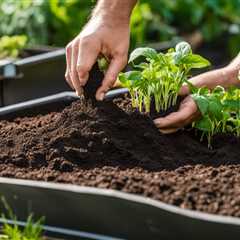 Optimal Soil Maintenance and Care in Raised Beds