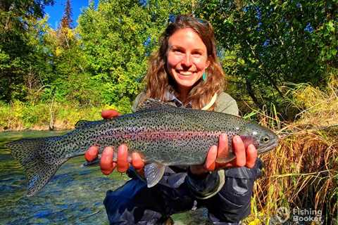 Best Rainbow Trout Bait: An Angler’s Guide
