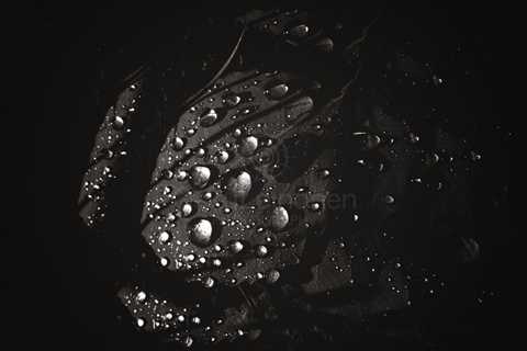 Rain Drops Black And White II (Faded Colour)