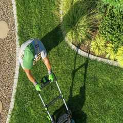 Controlling Weeds in a Garden in Conroe, Texas: An Expert's Guide