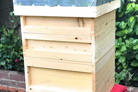 European-Made Beehive Set with Cedar Wood