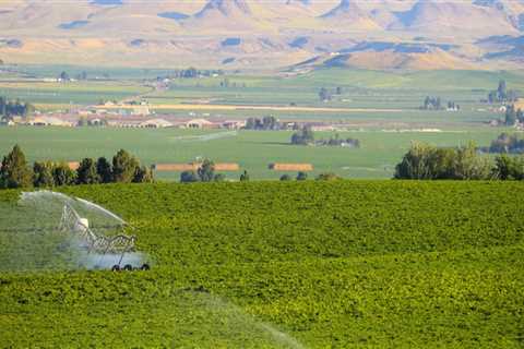 Government Programs Supporting Agriculture in Canyon County, ID