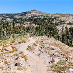 72-Mile Pines to Mines Trail Will Connect Truckee and Nevada City With High-Quality Singletrack