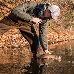 Five Lures for Winter Trout Fishing