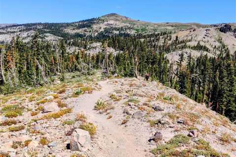 72-Mile Pines to Mines Trail Will Connect Truckee and Nevada City With High-Quality Singletrack