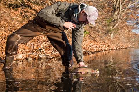 Five Lures for Winter Trout Fishing