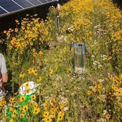 Using Technology to Preserve Plant Life in Anoka County, MN