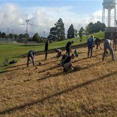 Engaging the Public in Plant Conservation Efforts in Anoka County, MN