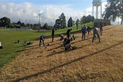 Engaging the Public in Plant Conservation Efforts in Anoka County, MN