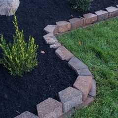 Expert Tips for Maintaining Landscaping in Camden County, New Jersey