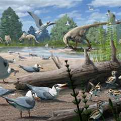 The Polar Retrospective – An Arctic Bird Fossil Discovery, AI helping caribou migrate across sea..