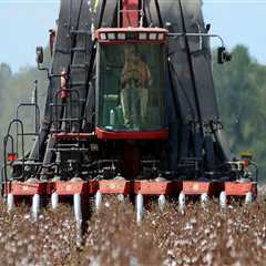 The Evolution of Agriculture and Forestry in Gulfport, MS
