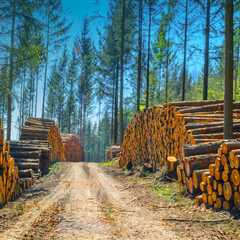 The Technological Revolution in Agriculture and Forestry in Gulfport, MS