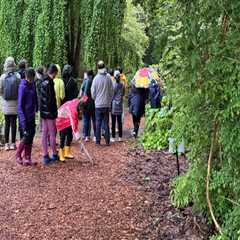 A Walk Through Wonder: Exploring the Diversity of Life in Botanical Gardens