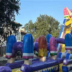 Bounce House Rentals In Midlothian, TX: A Natural Fit For Botanical Garden Birthdays