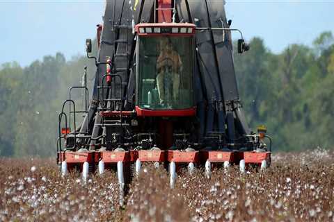 The Evolution of Agriculture and Forestry in Gulfport, MS