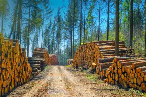 The Technological Revolution in Agriculture and Forestry in Gulfport, MS