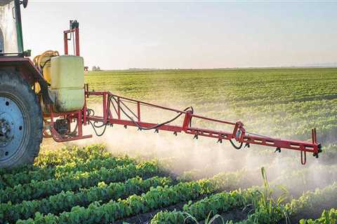 The Thriving Agriculture and Forestry Industry in Gulfport, MS