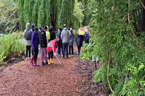 A Walk Through Wonder: Exploring the Diversity of Life in Botanical Gardens