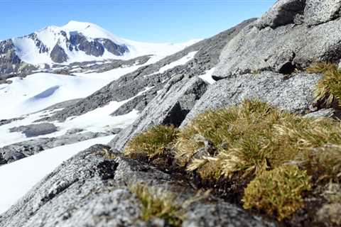Beyond the “Greening”: Antarctica, Scientific Debate and the Media Narrative