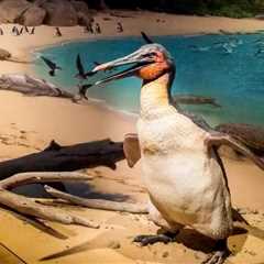 Dagger beaks and strong wings: new fossils rewrite the penguin story and affirm NZ as a cradle of..