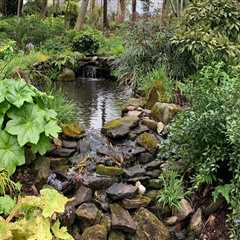 The Role of Botanical Gardens in Conservation and Education