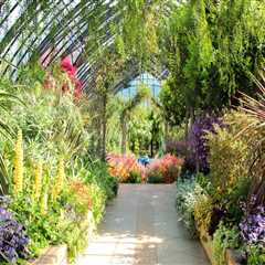 The Top Reasons to Visit Botanical Gardens With Family and Friends