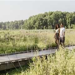 The Vibrant Agriculture Scene in Fairfax County, Virginia