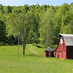 The Thriving Agricultural Industry in Fairfax County, Virginia