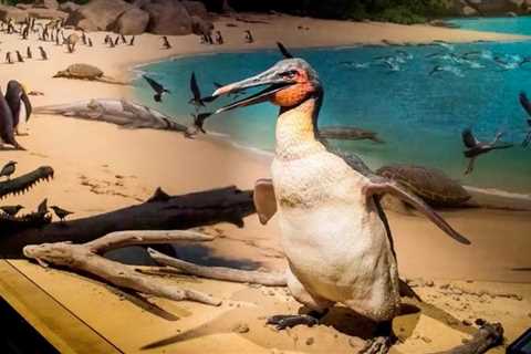 Dagger beaks and strong wings: new fossils rewrite the penguin story and affirm NZ as a cradle of..