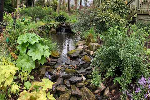 The Role of Botanical Gardens in Conservation and Education