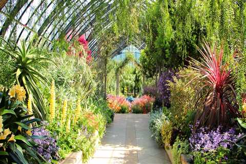 The Top Reasons to Visit Botanical Gardens With Family and Friends