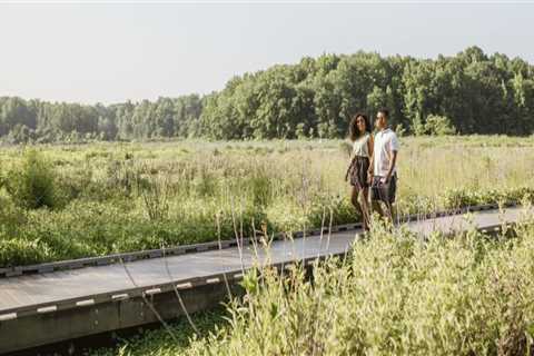 The Vibrant Agriculture Scene in Fairfax County, Virginia