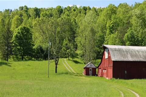 The Thriving Agricultural Industry in Fairfax County, Virginia