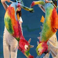 Unlocking the World of Dance Workshops in Southern New Jersey: Tips from an Expert