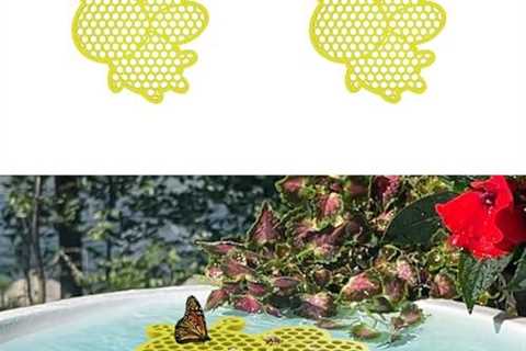 Bee Watering Station and Butterfly Feeder Set