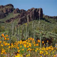 The Ultimate Guide to Photography Services in Pinal County, Arizona
