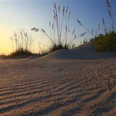 Capturing the Magic: The Best Times of Day for Photography in Southeast Florida