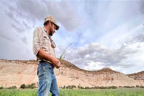 The Cost of Equipment for Farmers in Salt Lake County, Utah