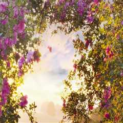 The Evolution of Gardens in Wilder, Kentucky: A Journey Through Time