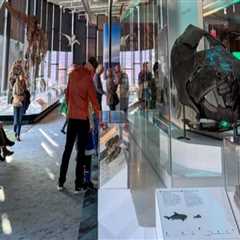 A Comprehensive Guide to Admission Costs for Exhibits in Northeast Ohio