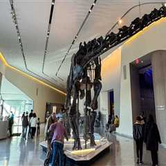 Your Ultimate Guide to Discovering Exhibits in Northeast Ohio