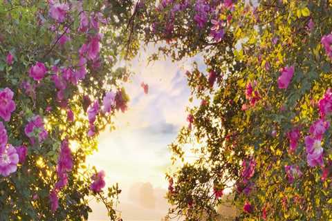 The Evolution of Gardens in Wilder, Kentucky: A Journey Through Time