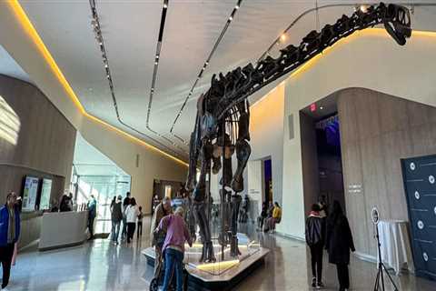 Your Ultimate Guide to Discovering Exhibits in Northeast Ohio