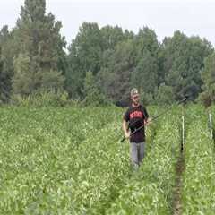The Impact of Farmers in Waxhaw, North Carolina on the Local Community