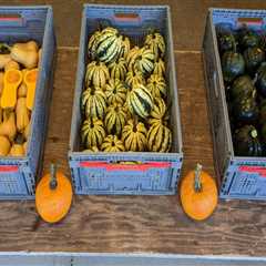Sustainable Agriculture Practices by Farmers in Waxhaw, North Carolina