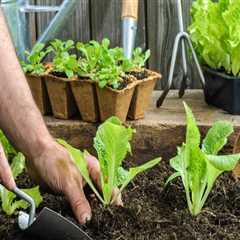 Incorporating Composting into Sustainable Garden Practices for a Greener Future
